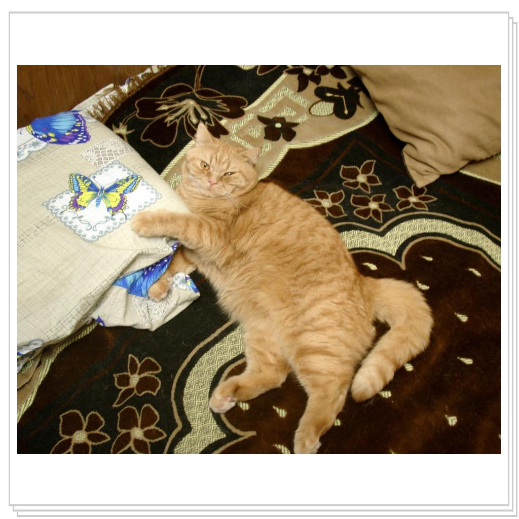 В обнимку с подушкой