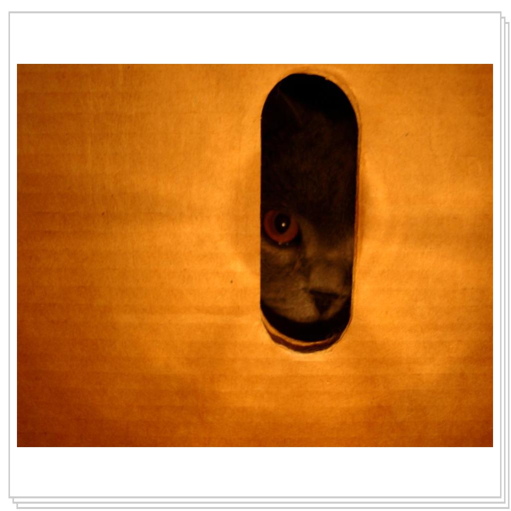 Секретный агент