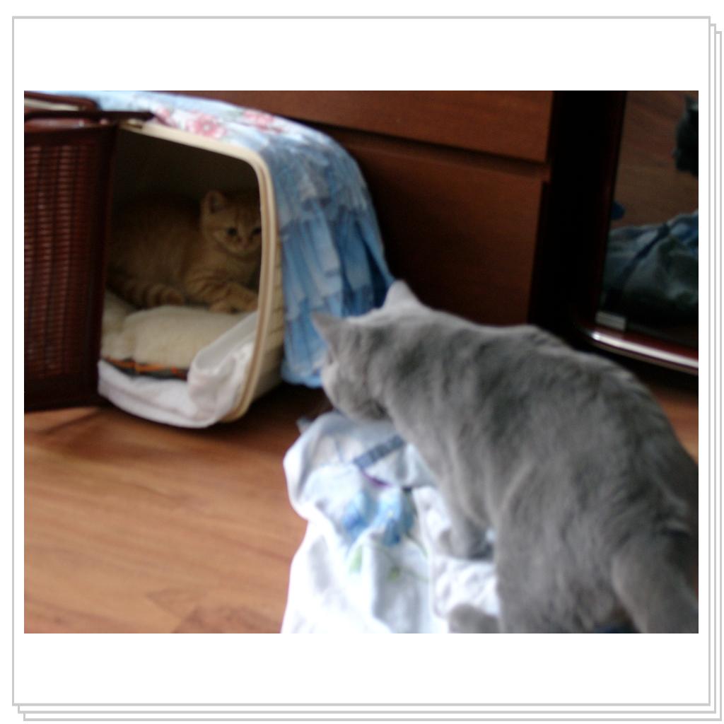 Знакомство (had only just met)