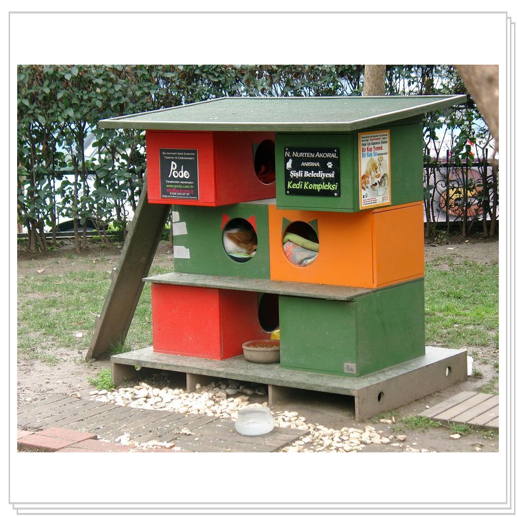 Кошки Турции