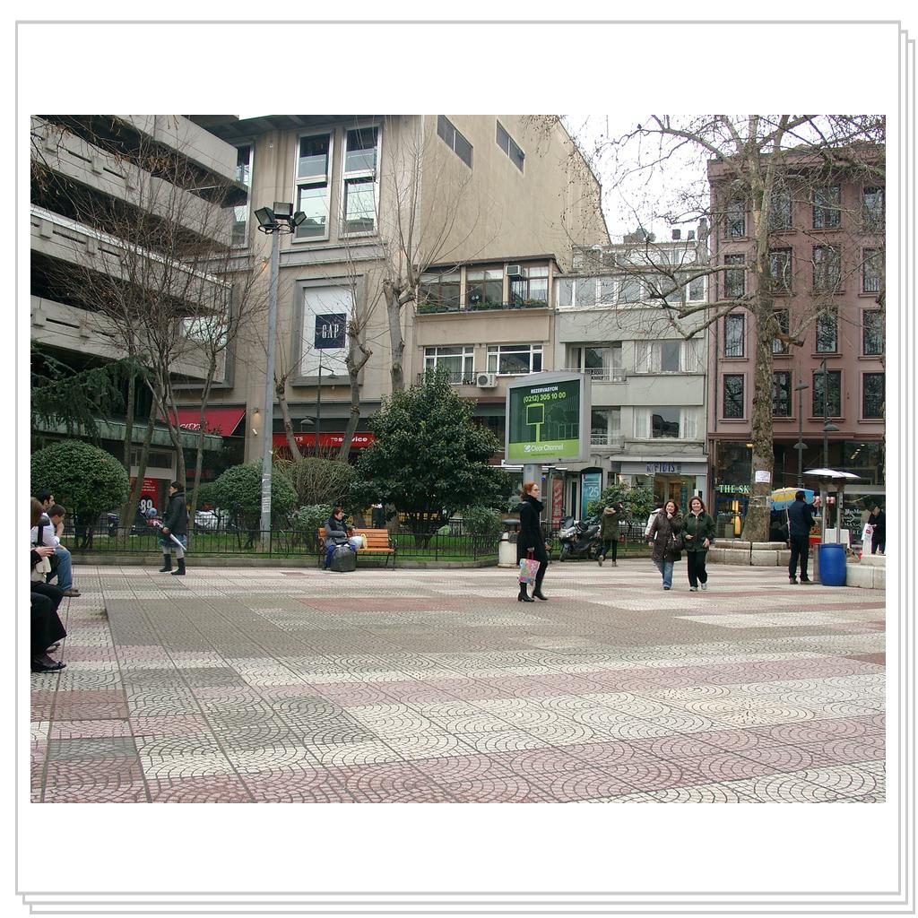 Кошки Турции