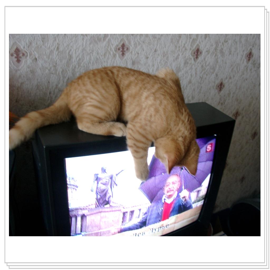 смотрим телевизор (watch TV)