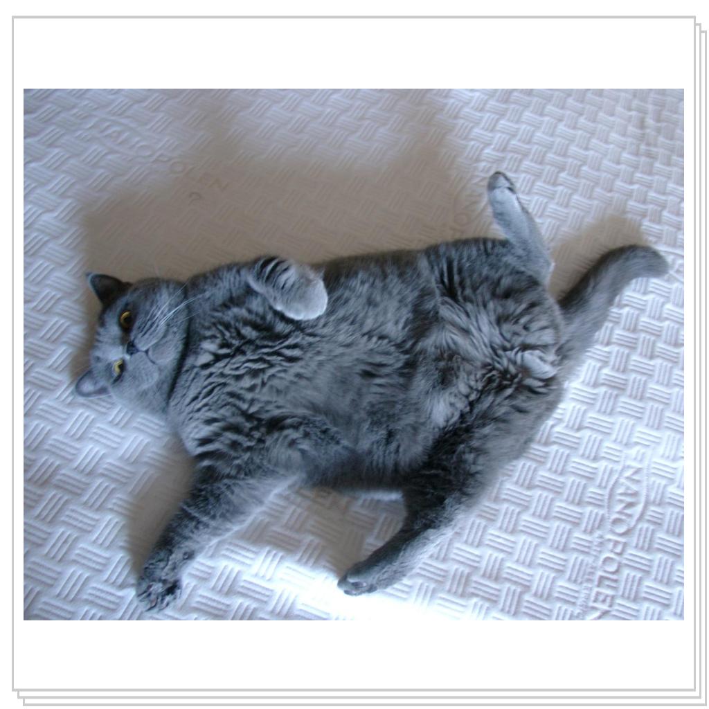 Как хорошо в квартире этой жить!