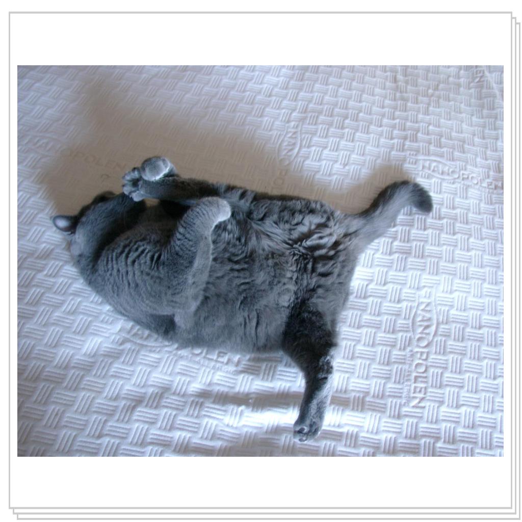 Вот какой я гибкий!