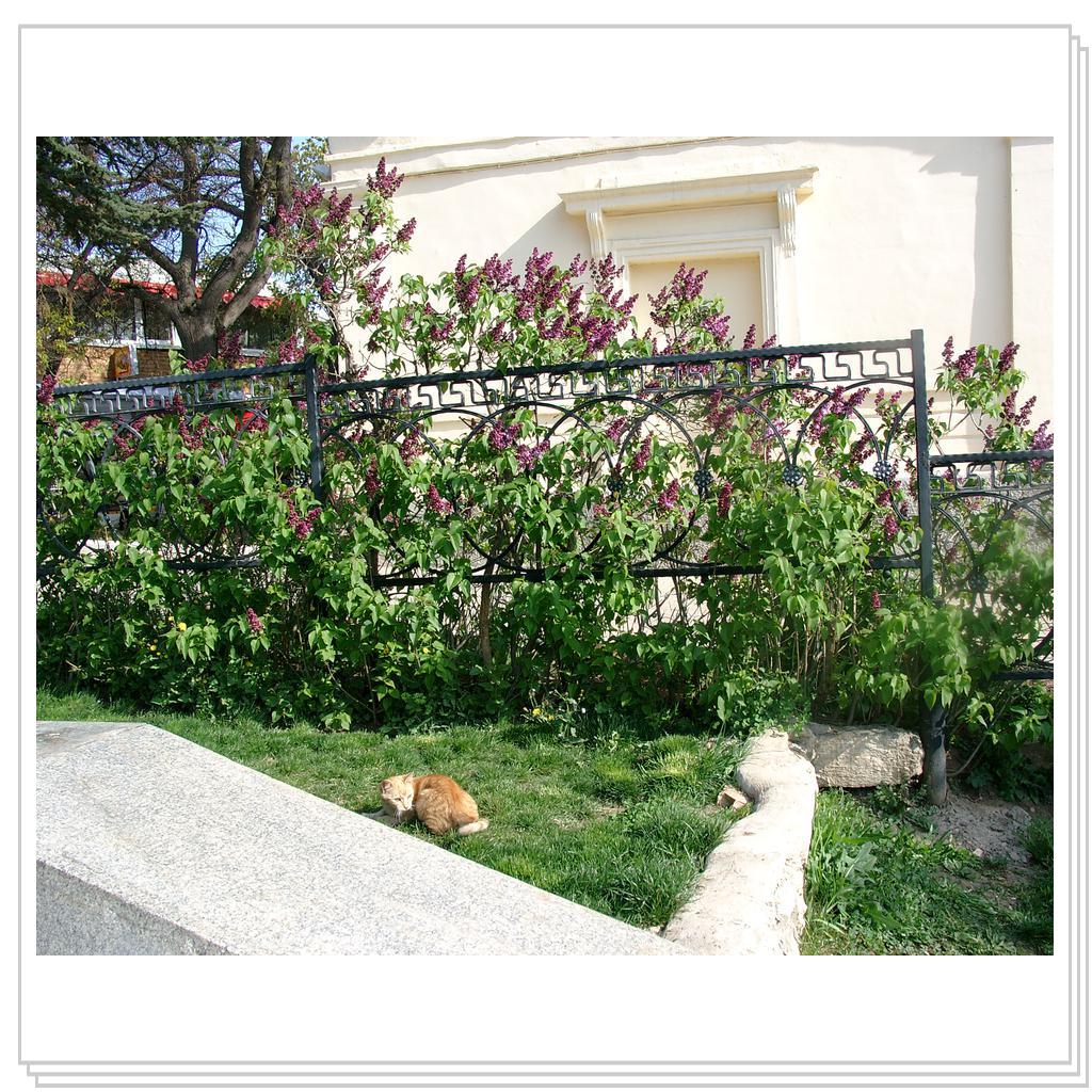 солнце, тепло..