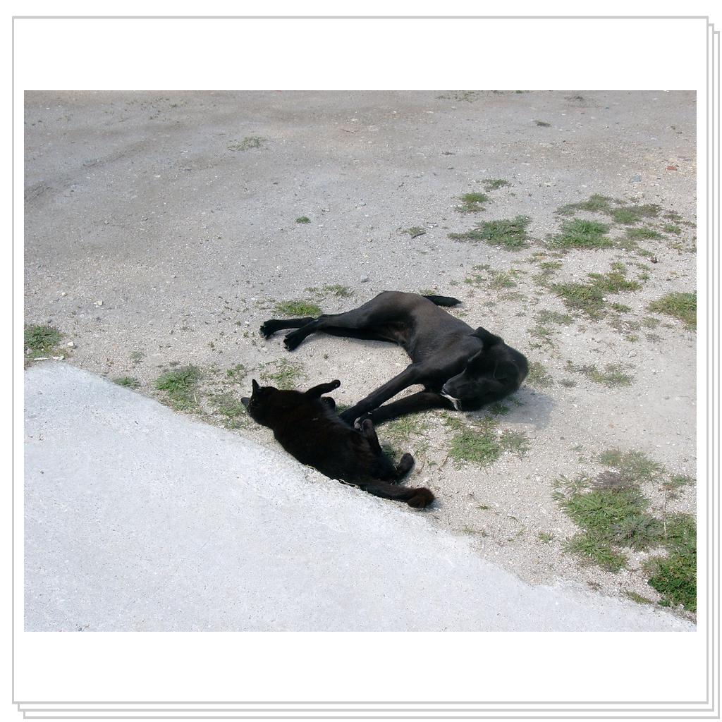 ладно, я тоже прилягу...