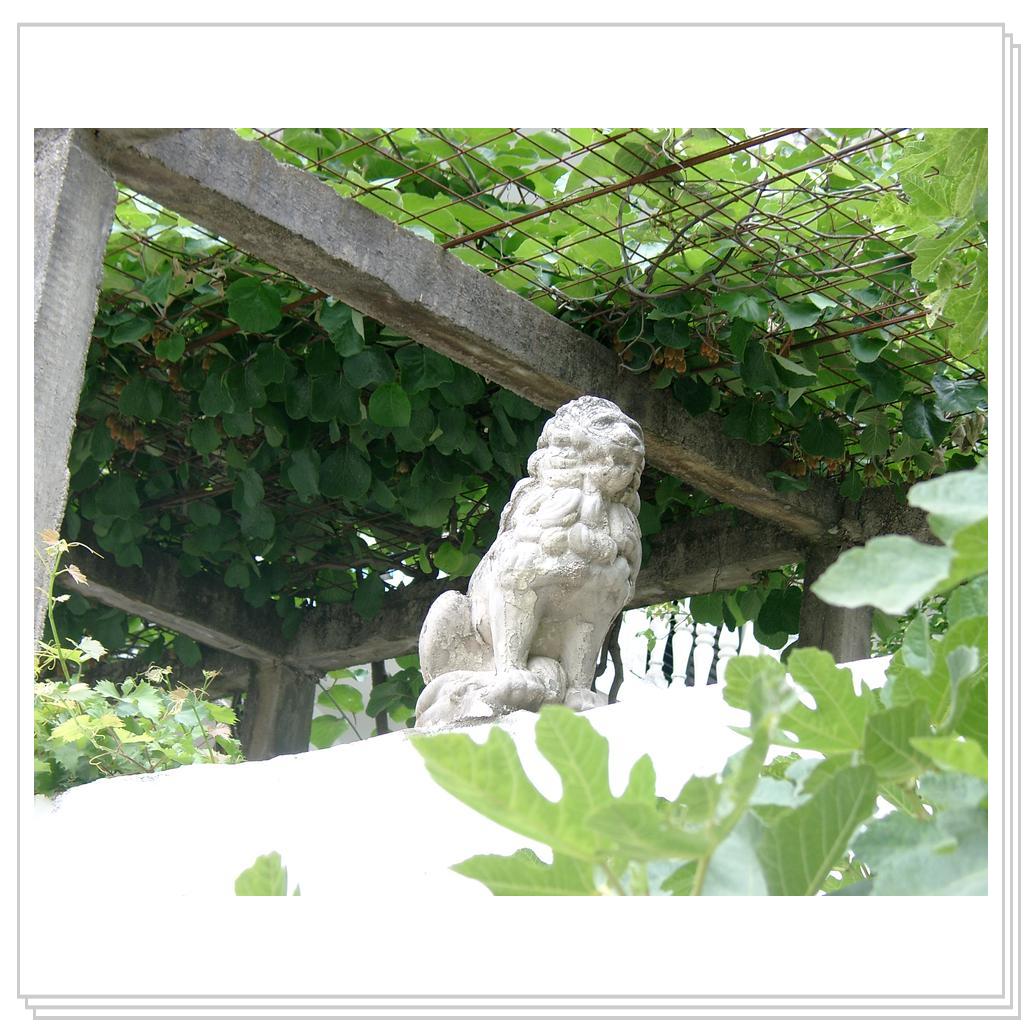 Кошки Черногории