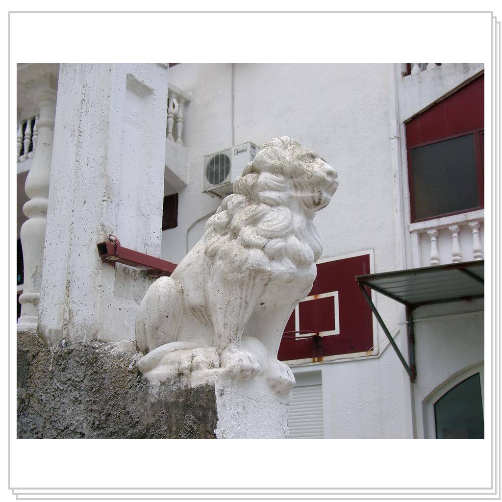 Кошки Черногории