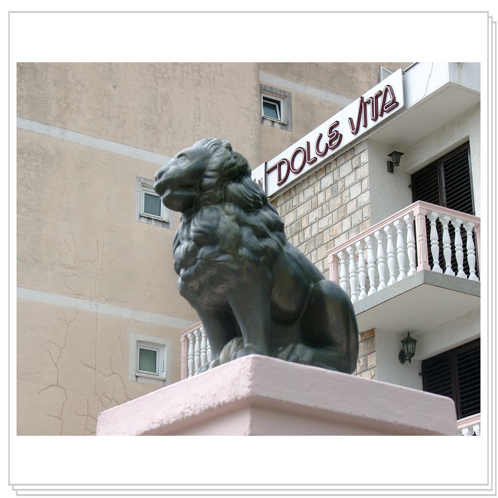 Кошки Черногории