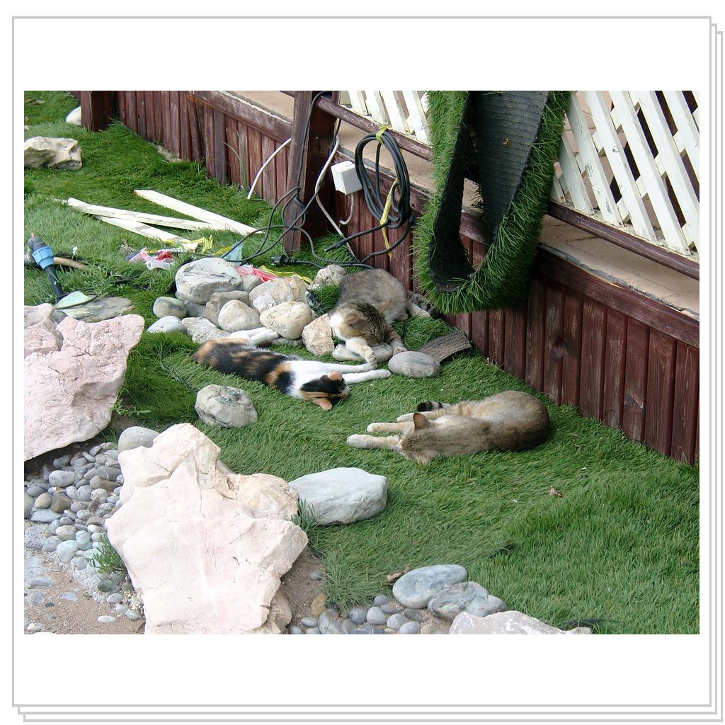 Возле кафешки, на набережной. Здесь и вода и еда.