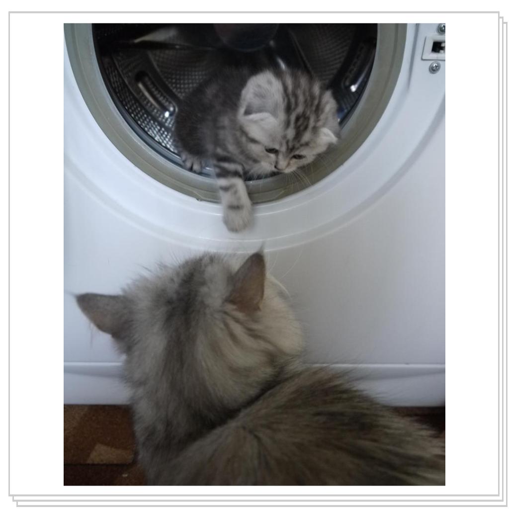 Ириса - мама