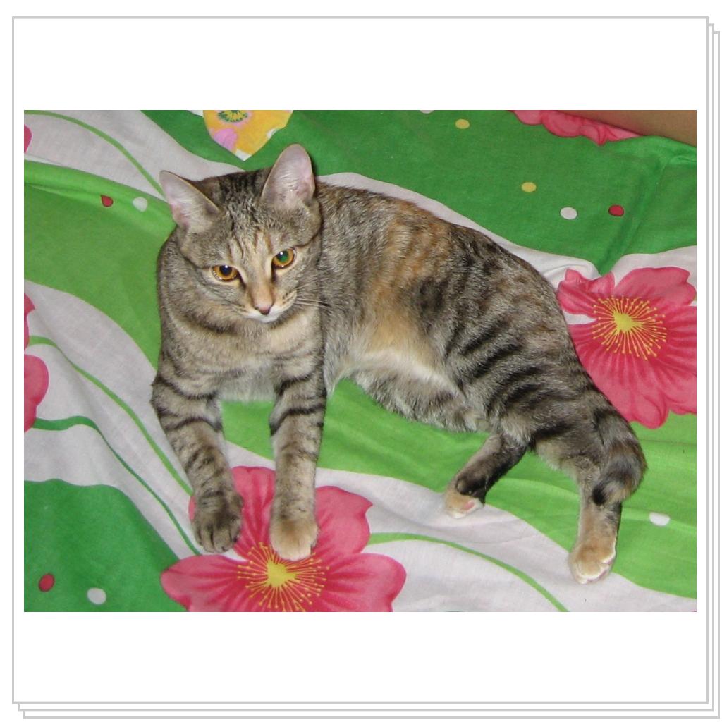 Разве не красотка?