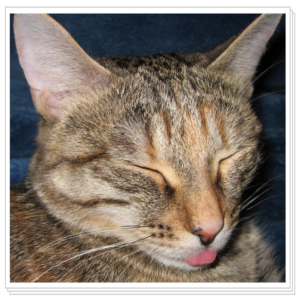 Вот так вам! ))