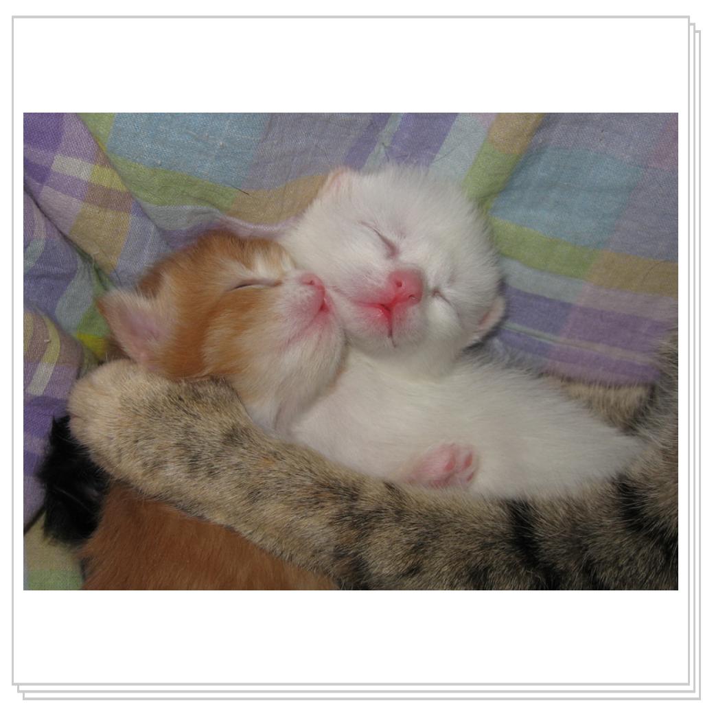 Сладкая парочка