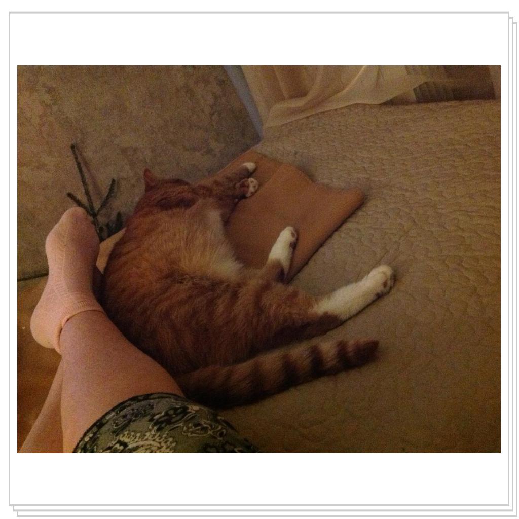 Ножки надо погреть у любимой хозяйки