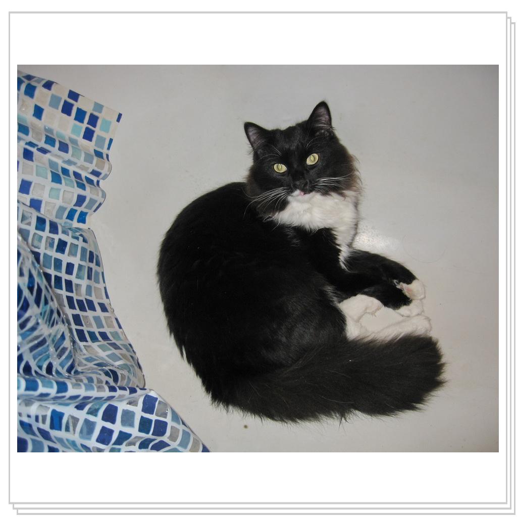 Ну когда ванну будем принимать? Я готов!