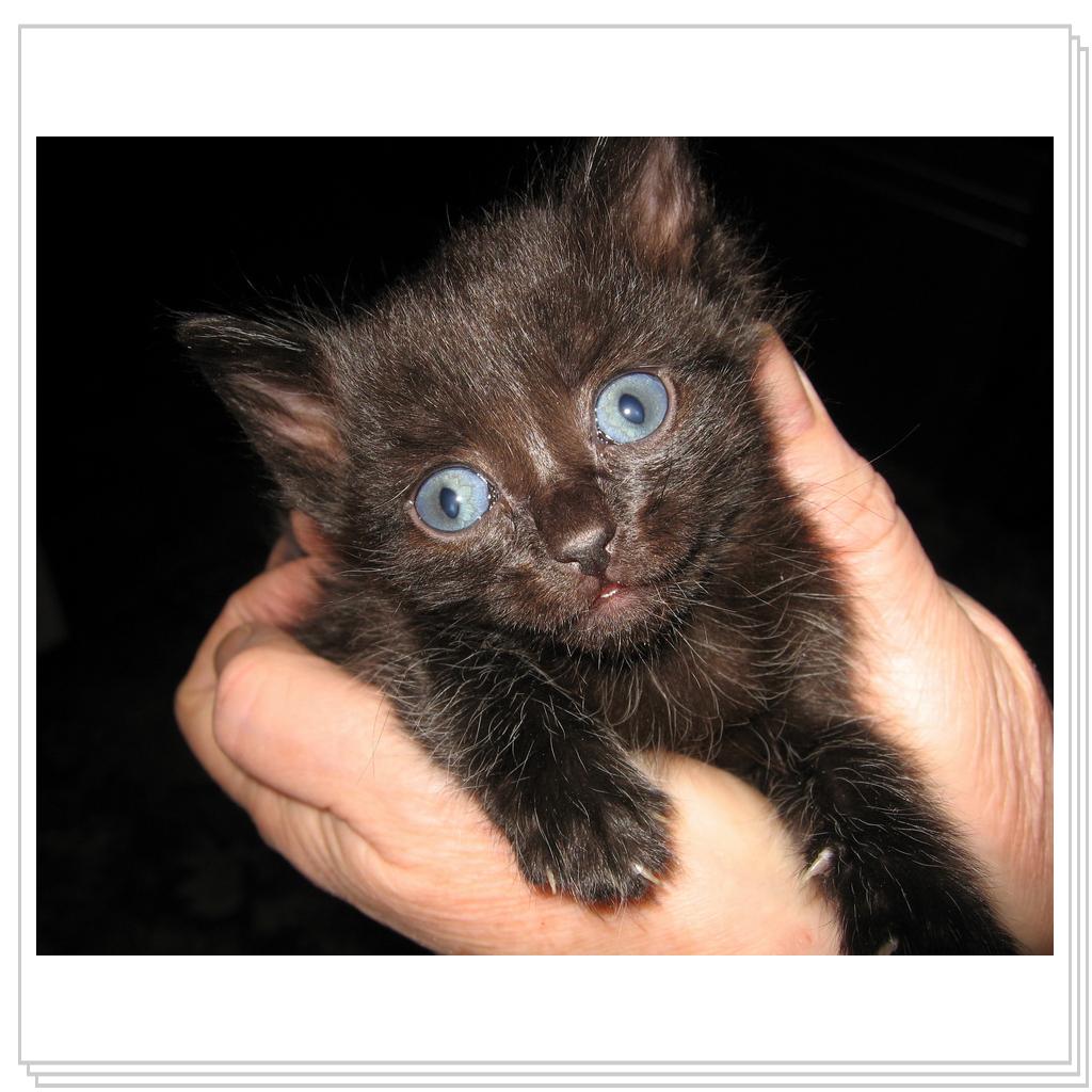 А в глазах васильки