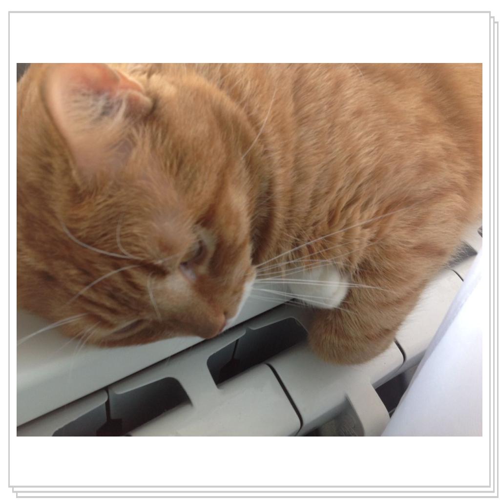 Рыженький))