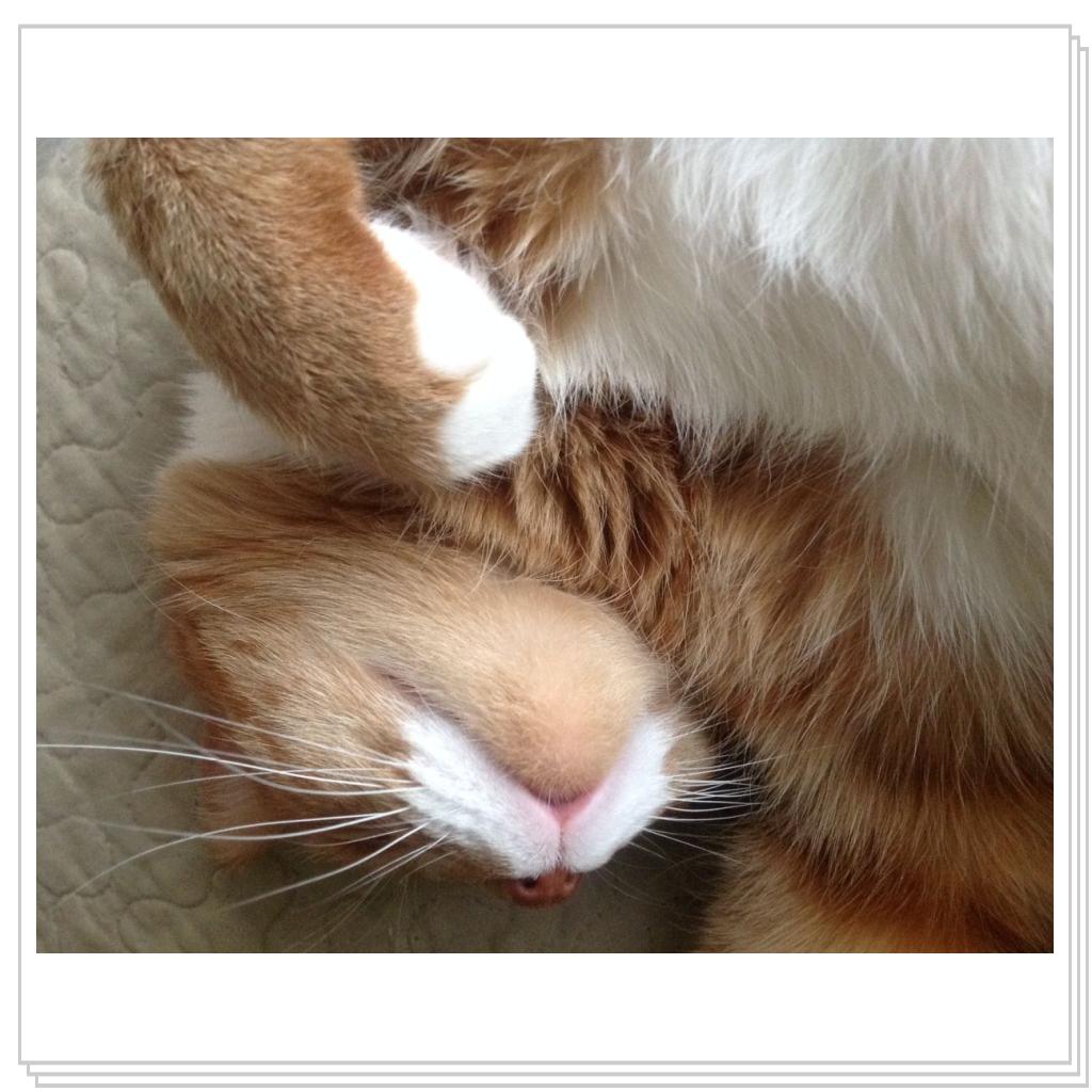 так мы отдыхаем и балдежничаем