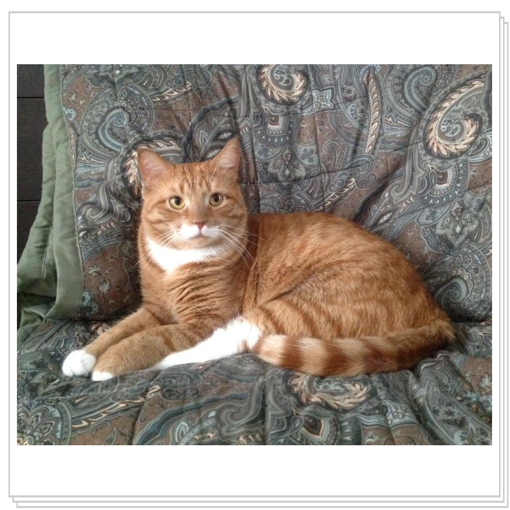 Прям хоть на выставку!