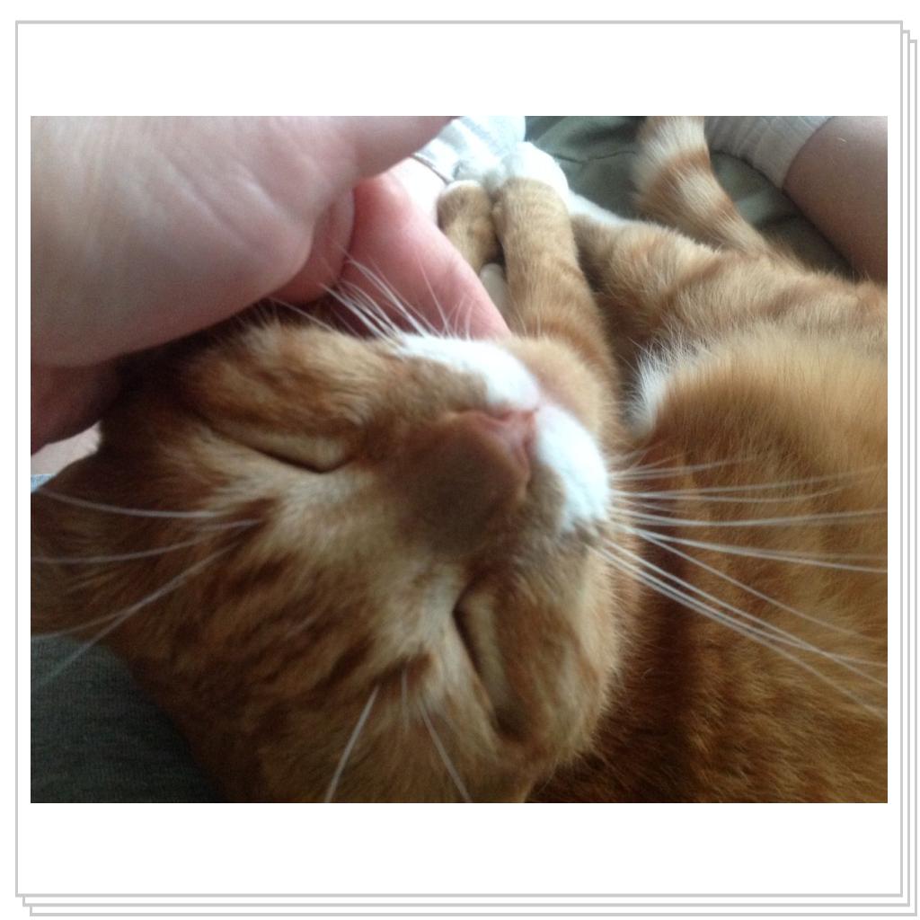 Чешите меня, чешите)))