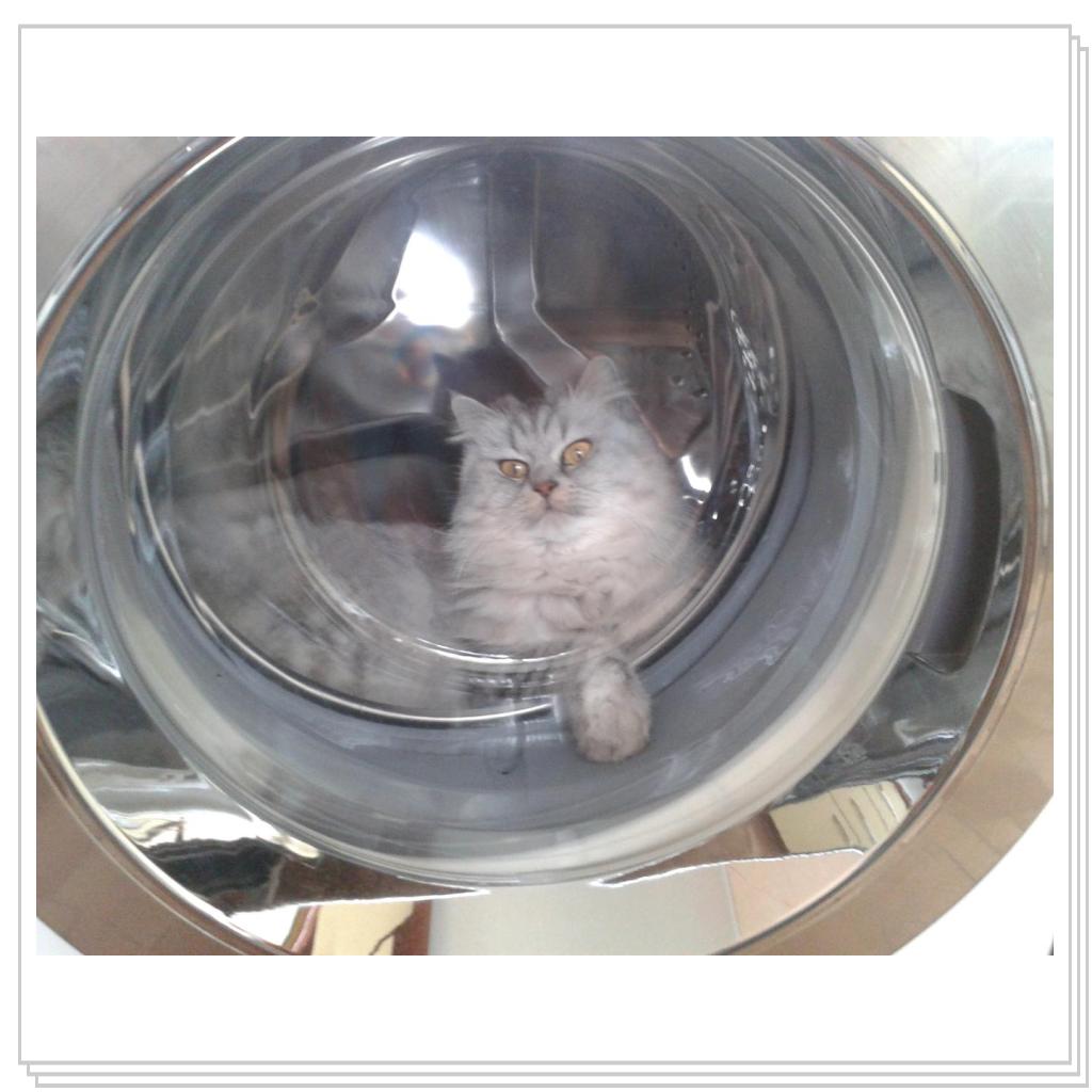 Ириска космонавт!