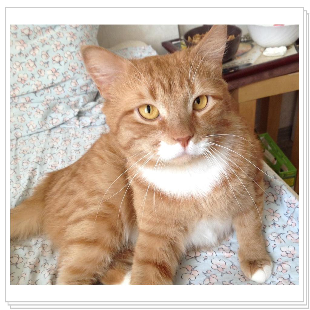 Опять снимают..