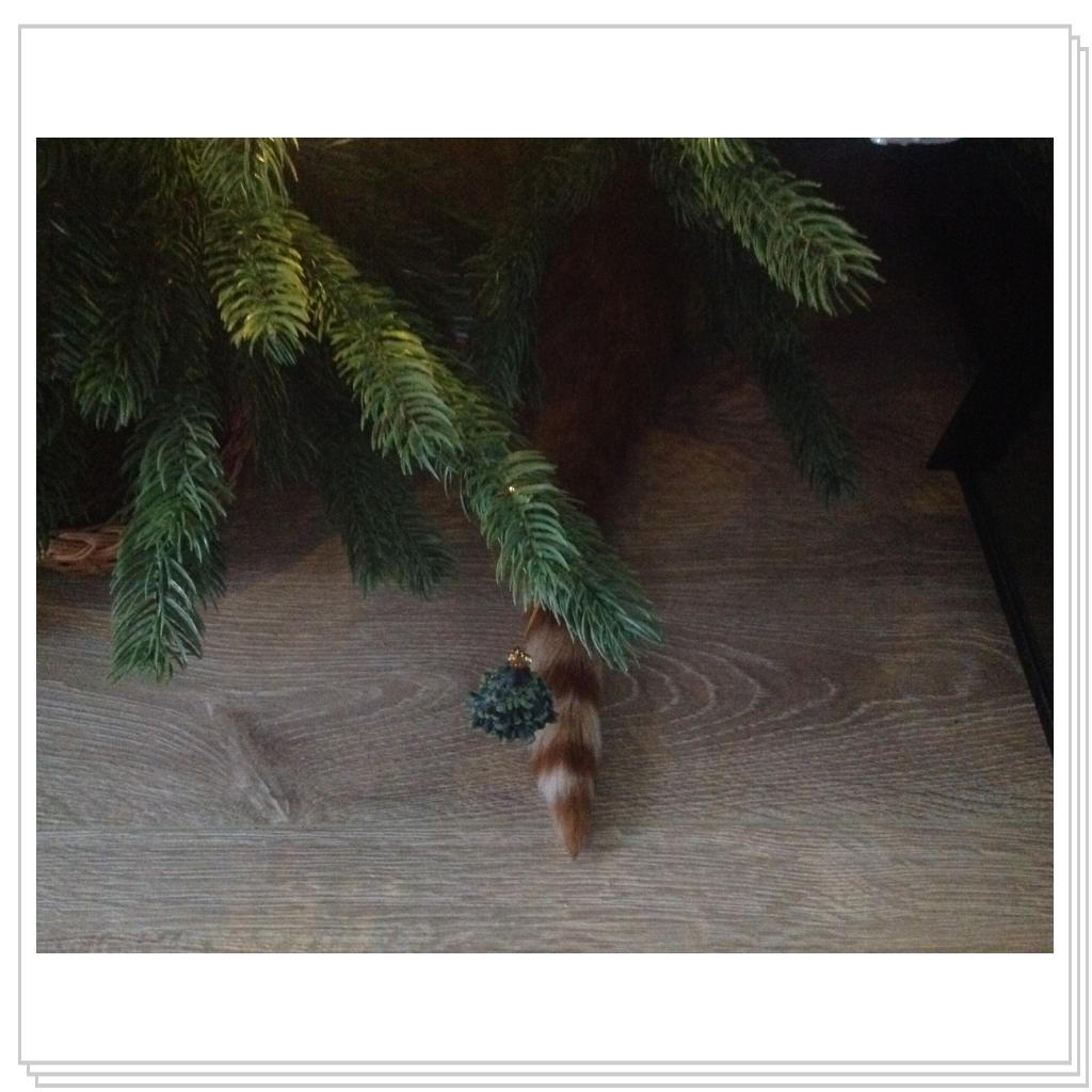 Хвост Рыжевского