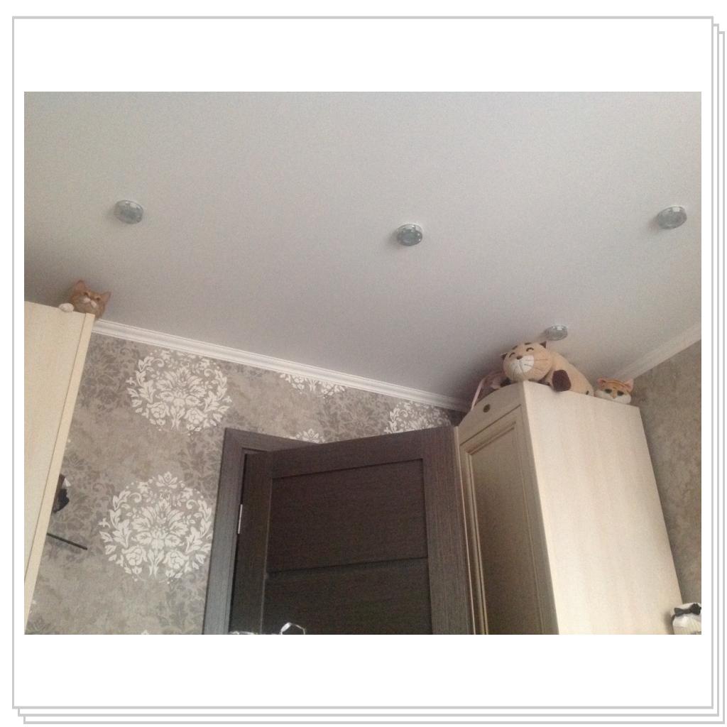 Везде коты)))