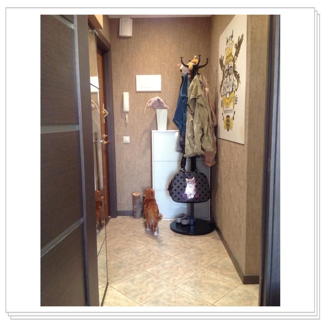 И что это там за грызун кверху хвостом? Надо проверить))