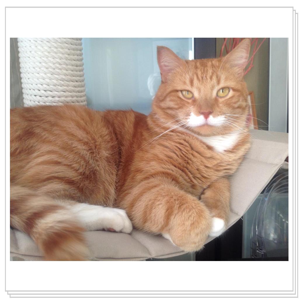 ну что, чай подавать будут?