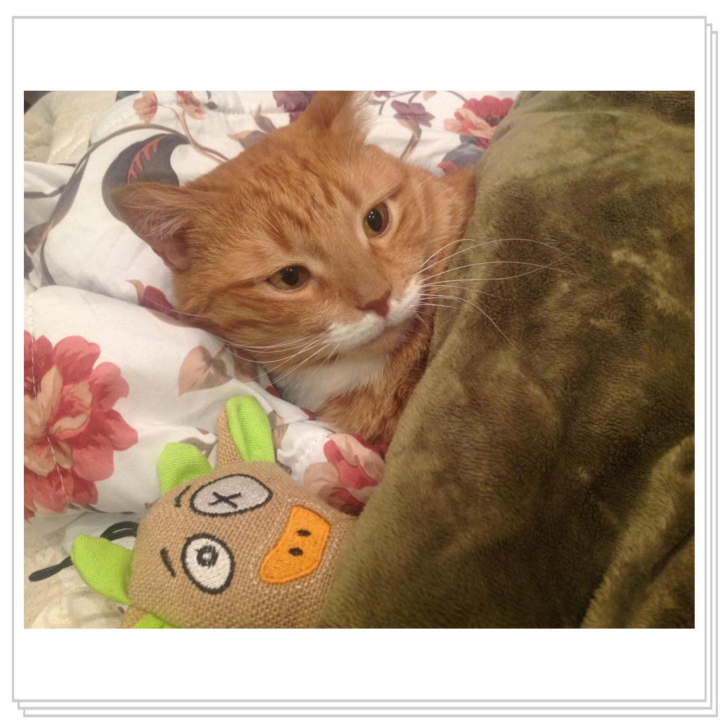 жизнь барина