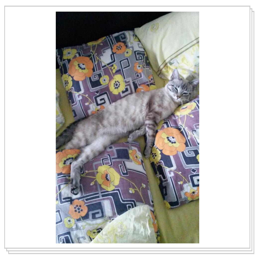 здоровый сон