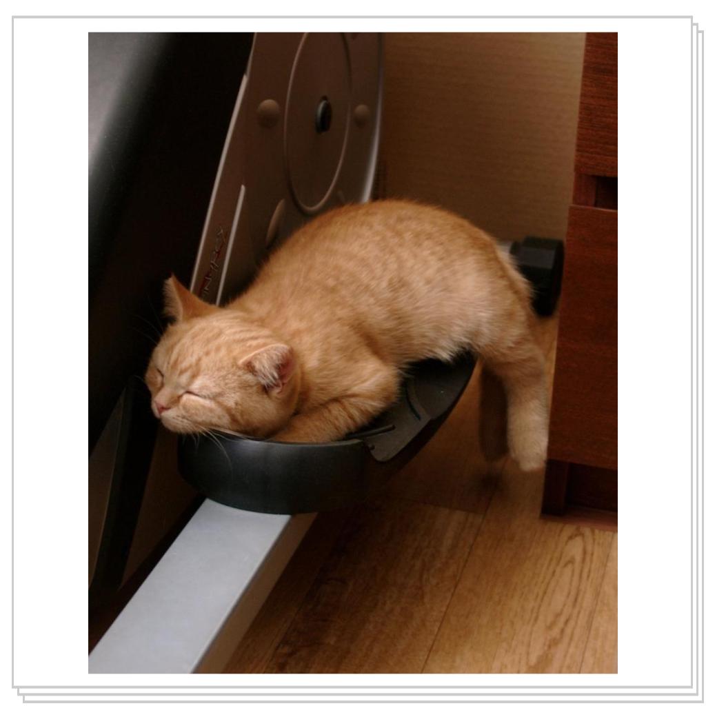 Позанимались на тренажере и спать.. (tired...)