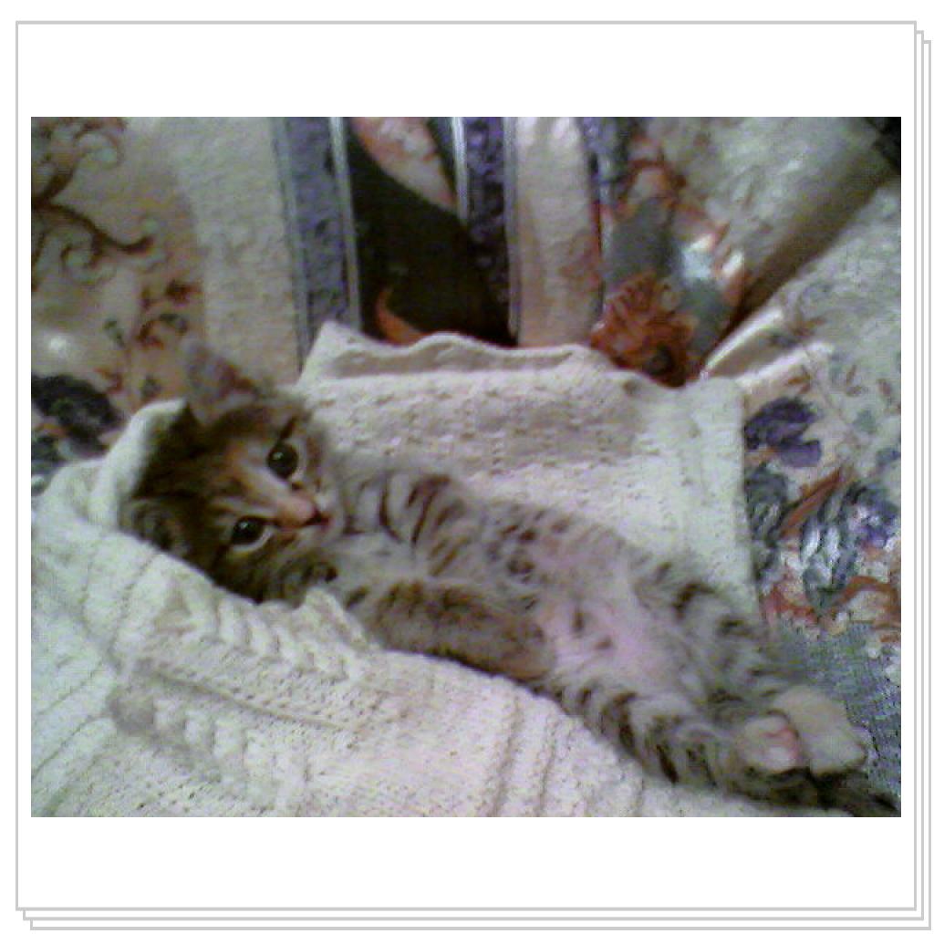 Люси маленькая