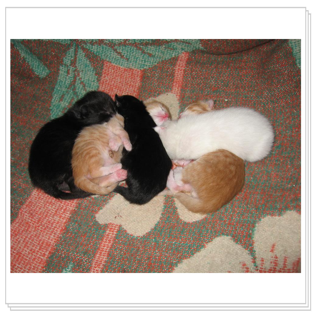 Спим вповалку