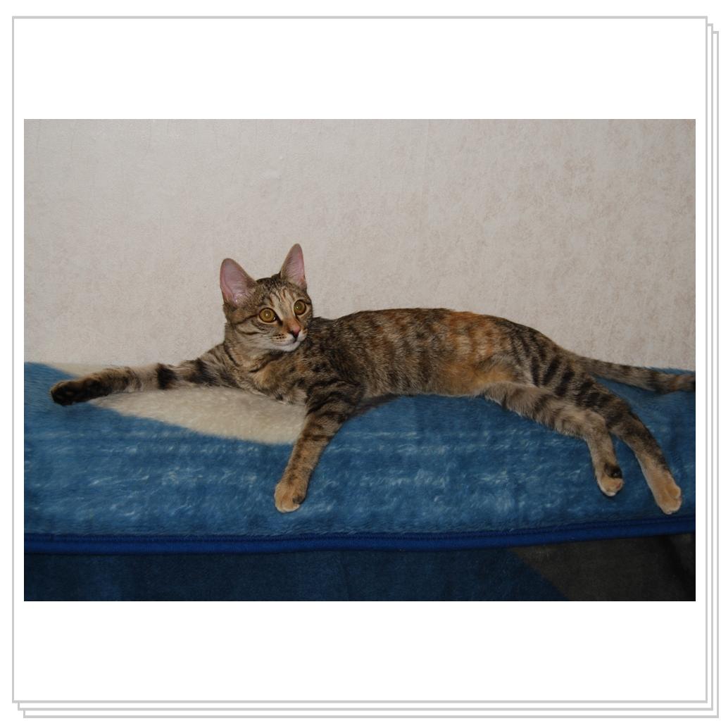 Люсии годик - потому колбаса и сосиска ))