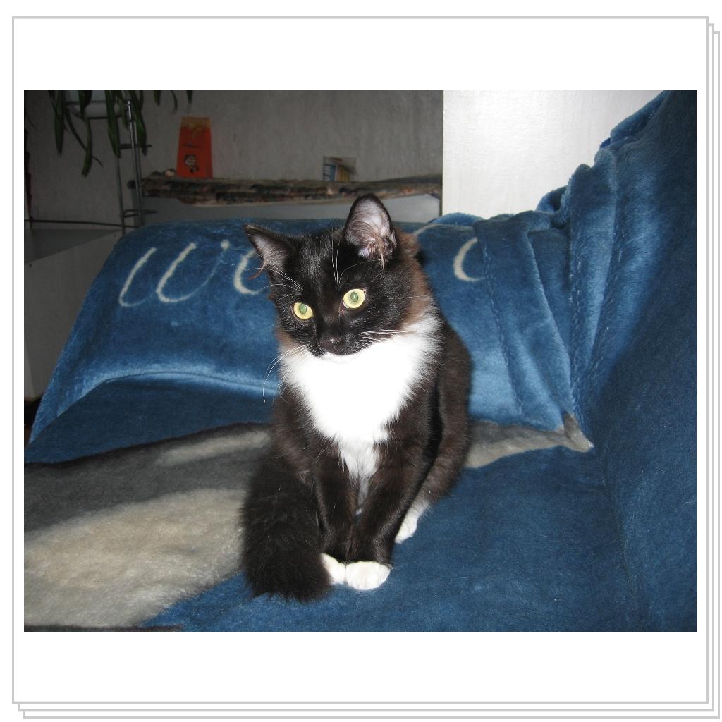 Русланчику год, зовем Масик, потому что был масенький ))