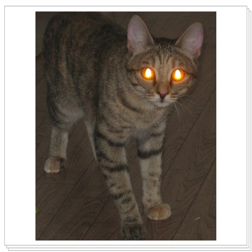 Впеервые увидела шв.машинку!