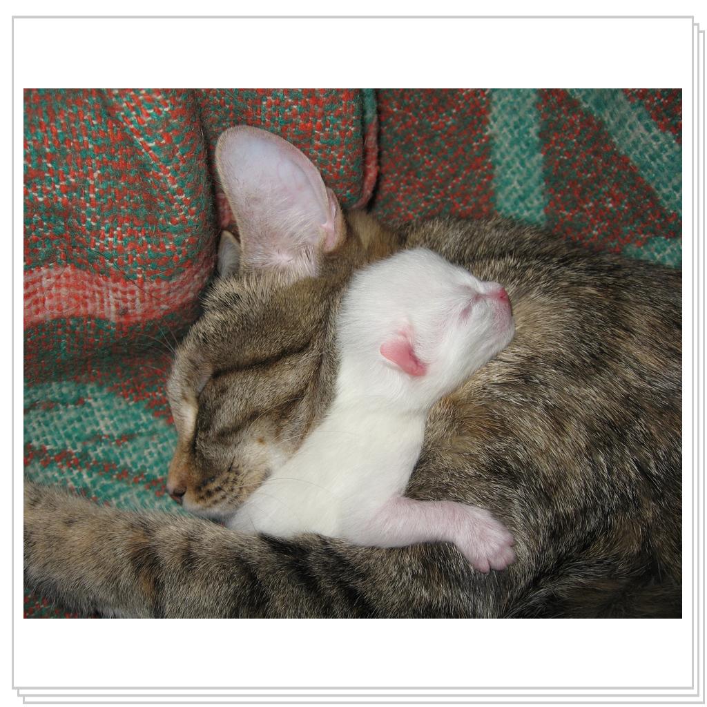 На маме мягче