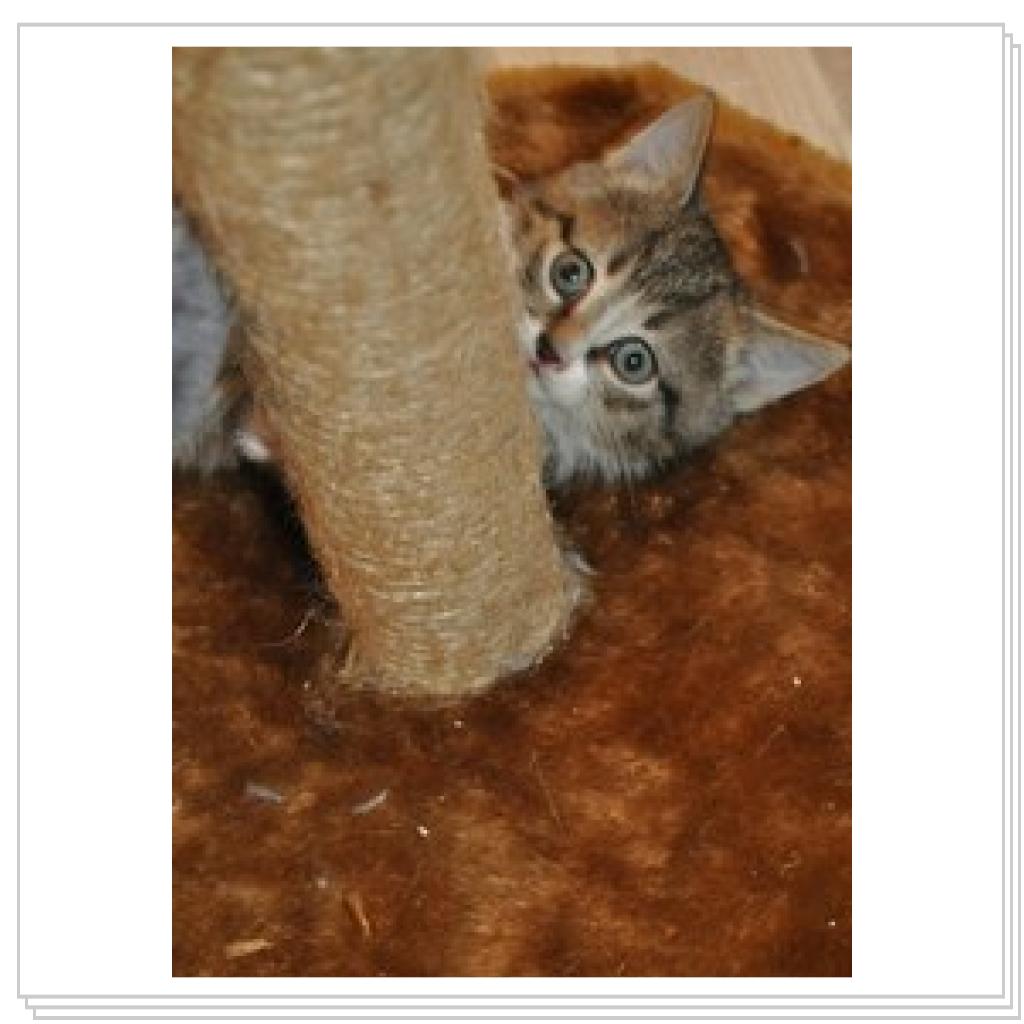 От меня не спрячешся найду