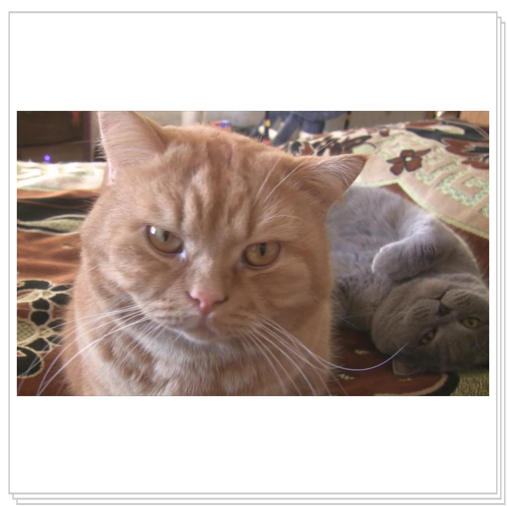 Кто на Рыжего?