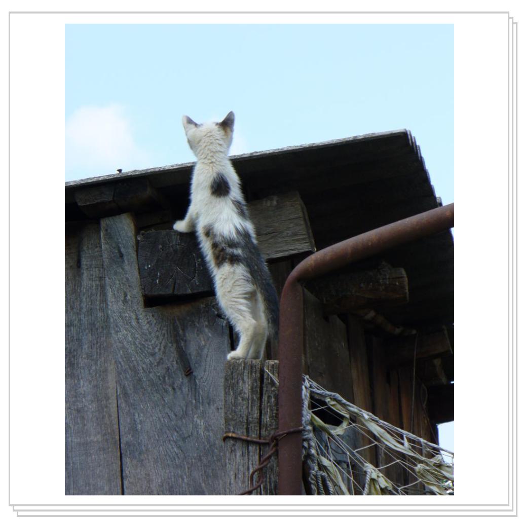 Что там, за краем земли?...