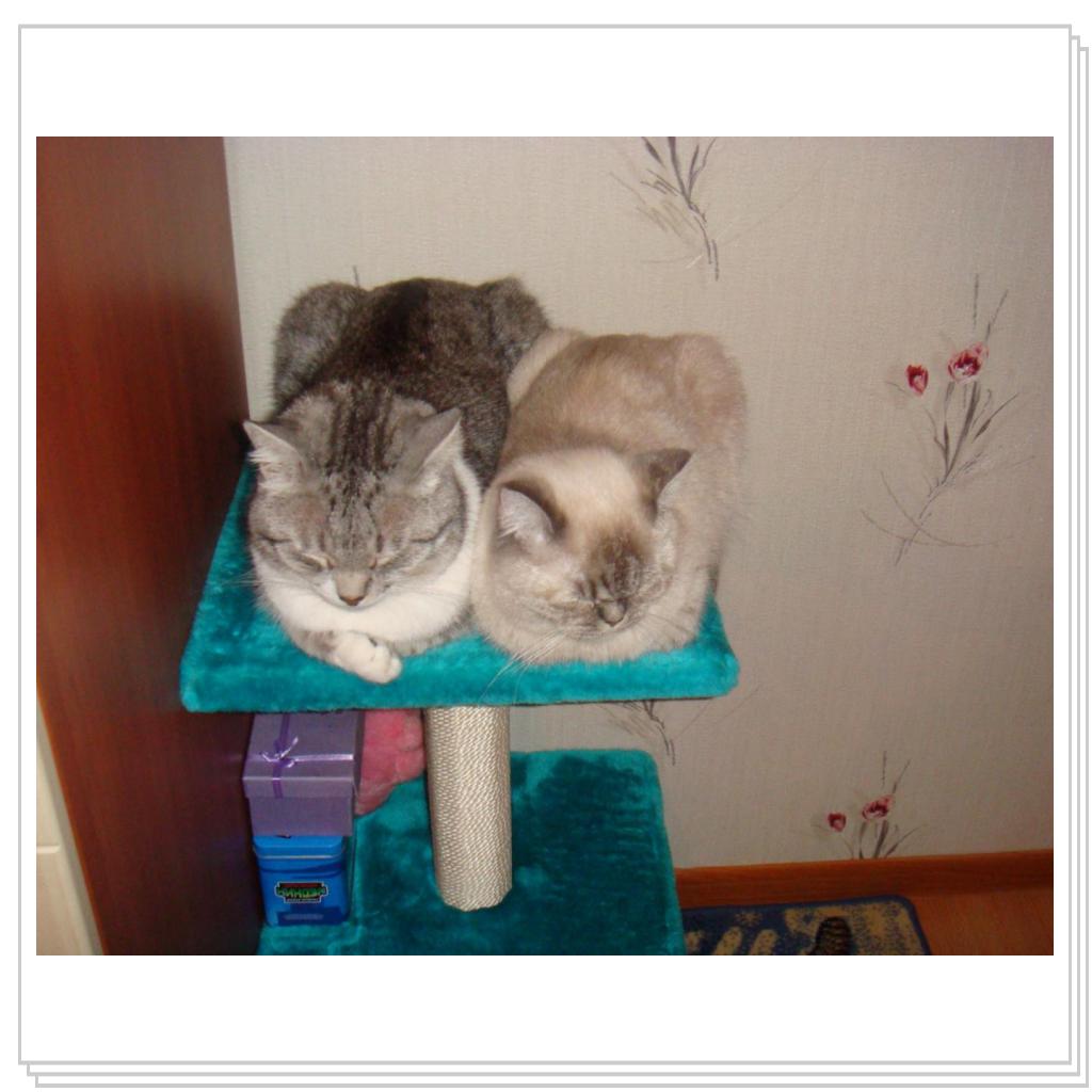 Не тесно нам, не ТЕСНО!