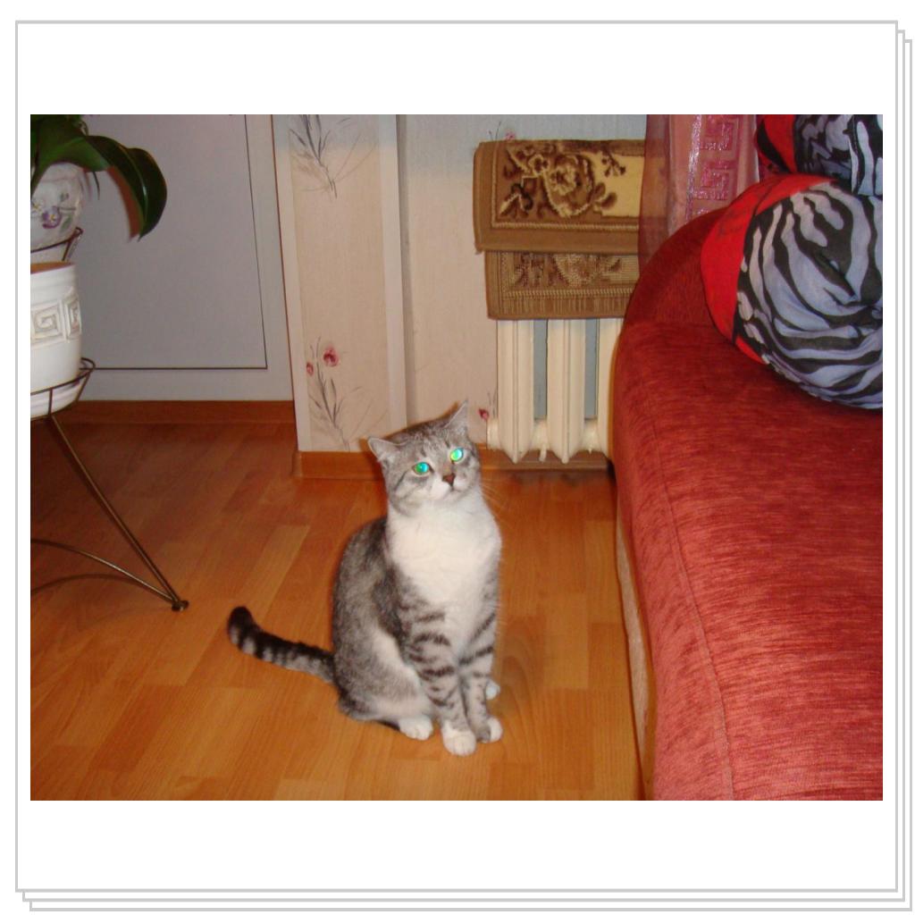 Лео - само очарование