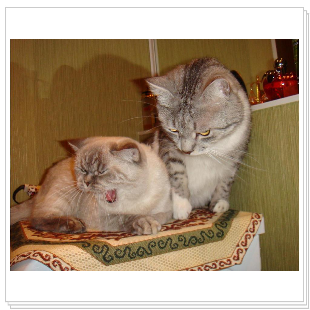 Вот такие мы- Лео и Мотя!