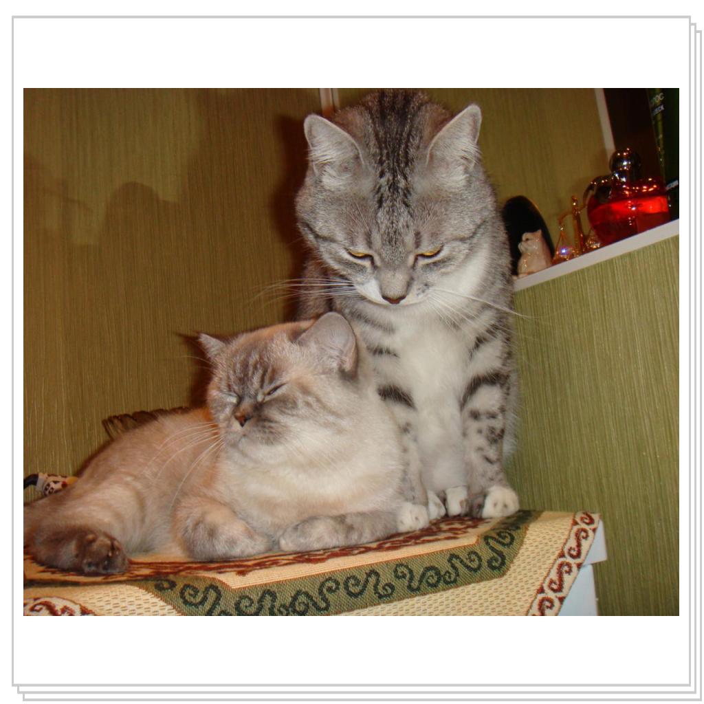 Влюбленная парочка