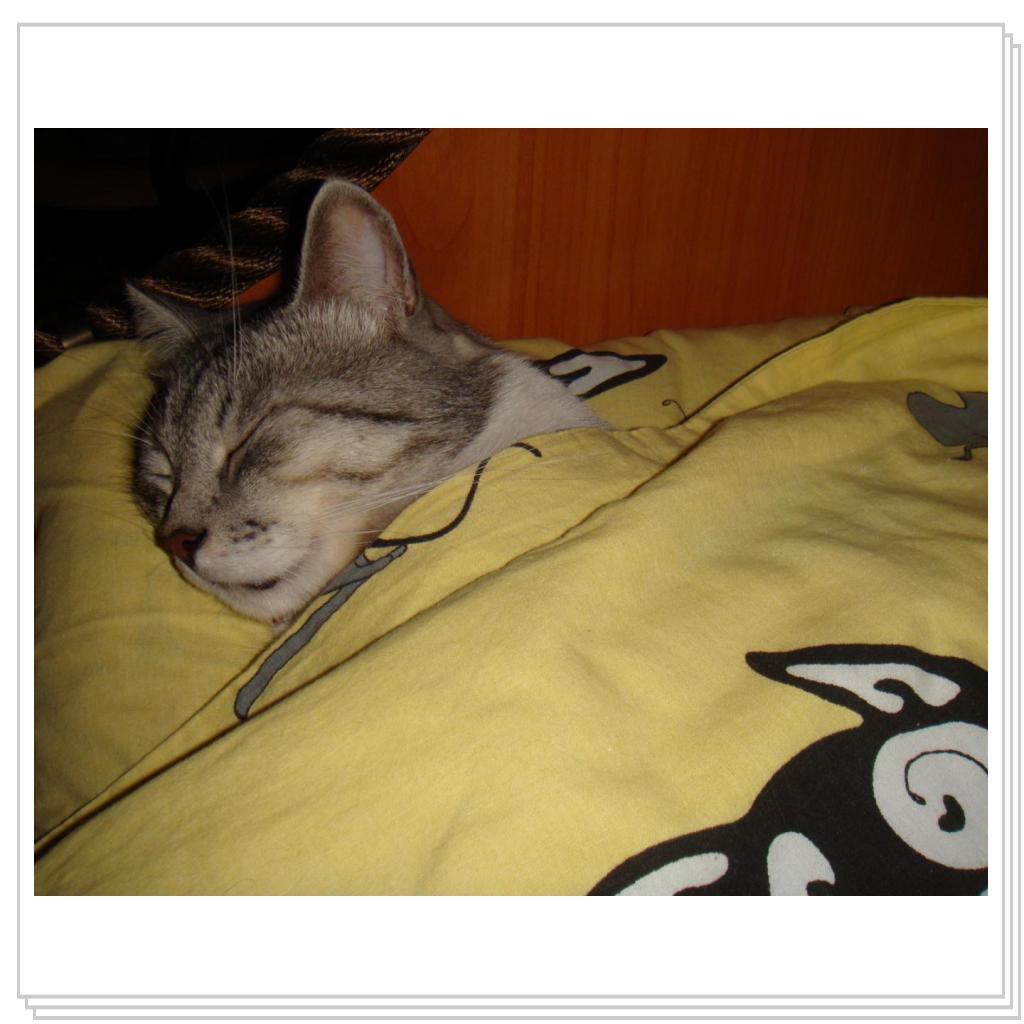 Личная постель Лео