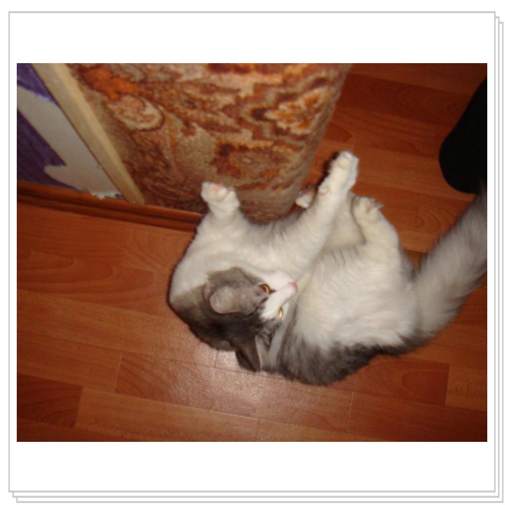 Можно и обои порвать, пока хозяйка разрешает