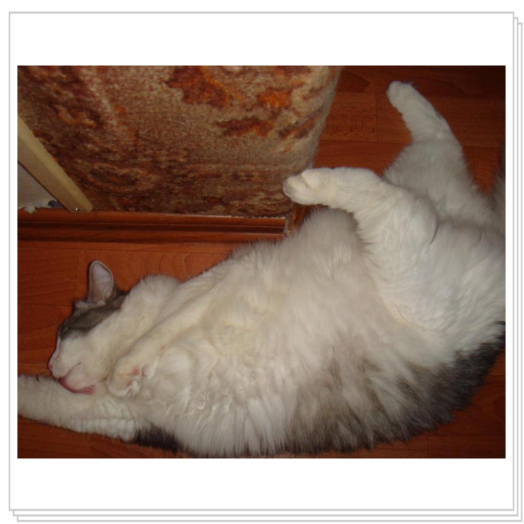 Хороша жизнь у Степы